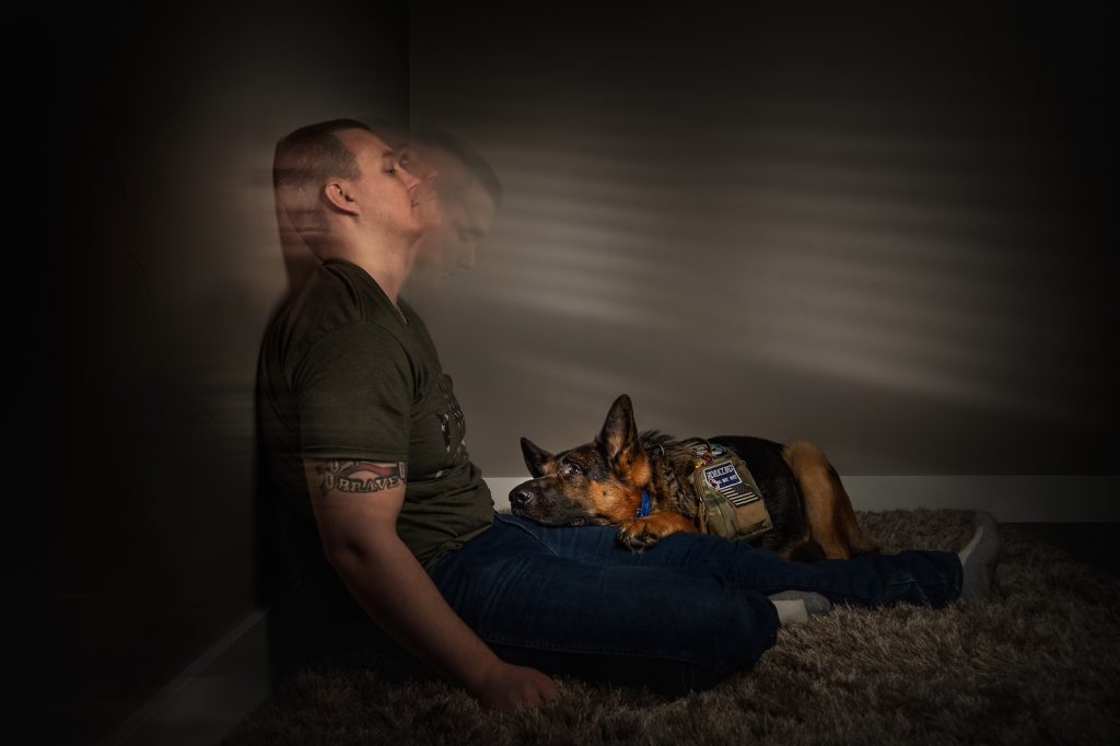 Service Dog and Veteran